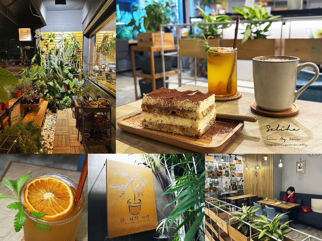 他。植物咖啡